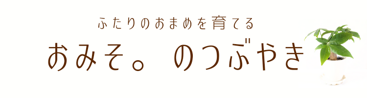 おみそ。のつぶやき